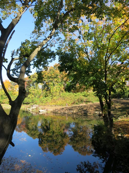 Pond, Sands Point Preserve, Sands Point, New York, November 8, 2015