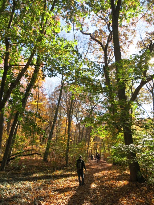 Sands Point Preserve, Sands Point, New York, November 8, 2015