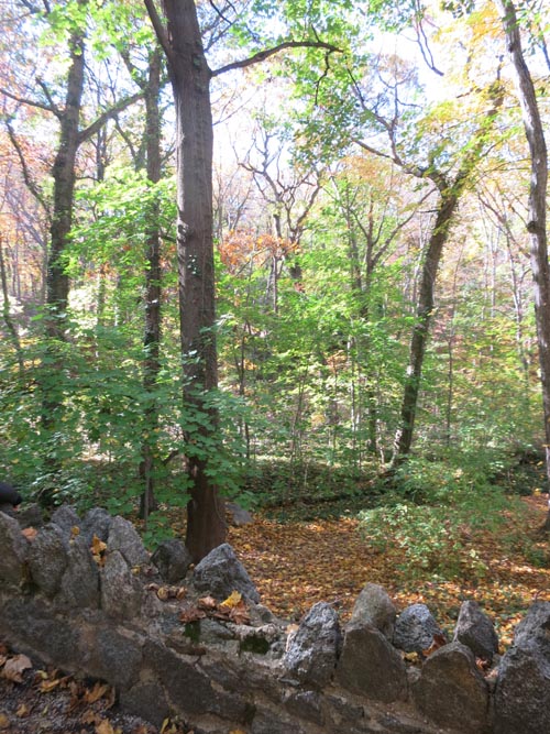 Footbridge, Sands Point Preserve, Sands Point, New York, November 8, 2015