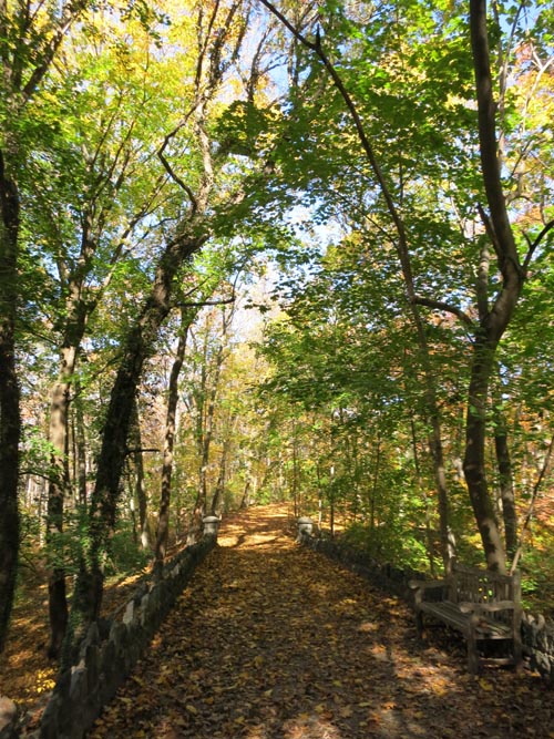 Footbridge, Sands Point Preserve, Sands Point, New York, November 8, 2015