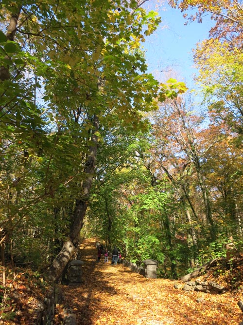 Footbridge, Sands Point Preserve, Sands Point, New York, November 8, 2015