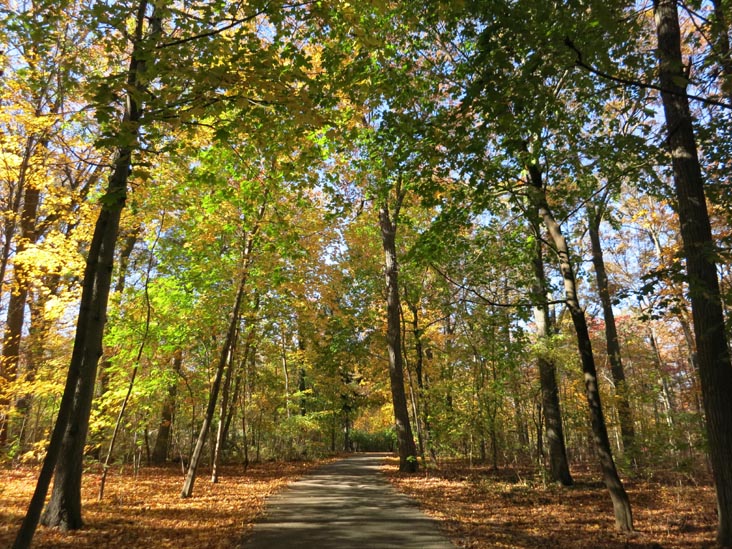 Sands Point Preserve, Sands Point, New York, November 8, 2015