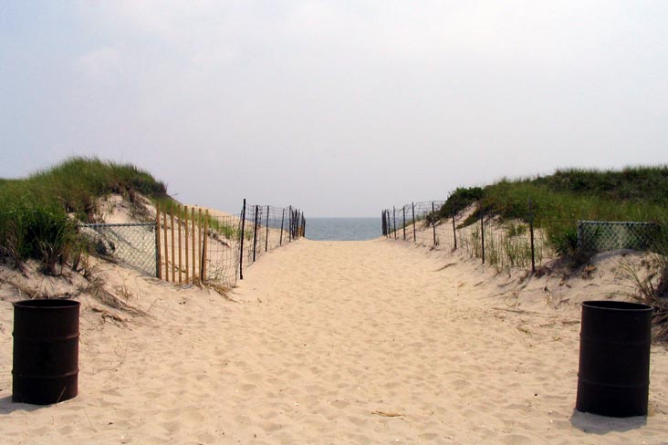 Field 4, Robert Moses State Park, Suffolk County, Long Island, New York