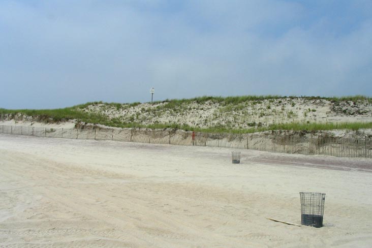 Field 4, Robert Moses State Park, Suffolk County, Long Island, New York