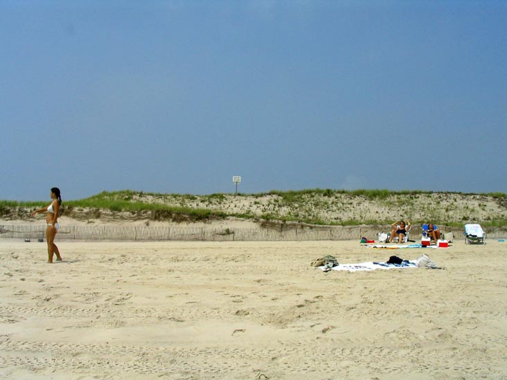 Field 4, Robert Moses State Park, Suffolk County, Long Island, New York