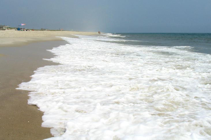 Field 4, Robert Moses State Park, Suffolk County, Long Island, New York