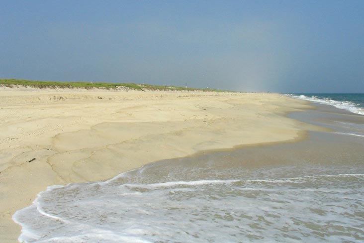 Field 4, Robert Moses State Park, Suffolk County, Long Island, New York