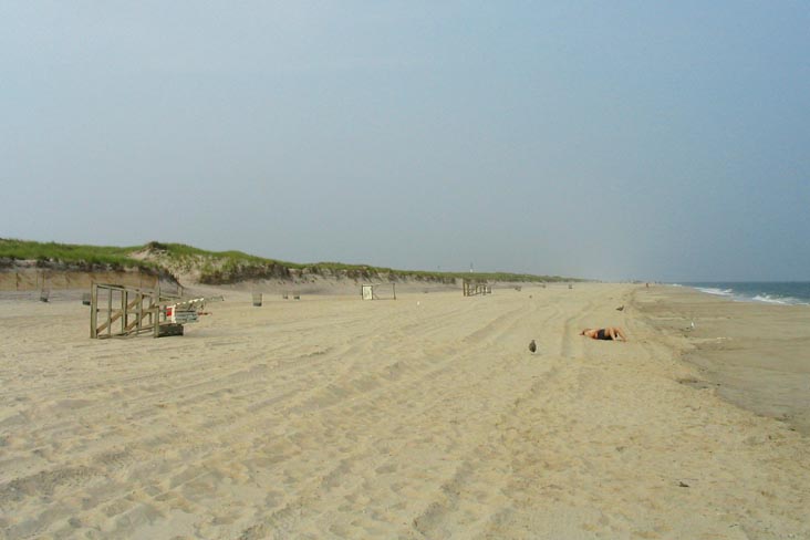 Field 4, Robert Moses State Park, Suffolk County, Long Island, New York