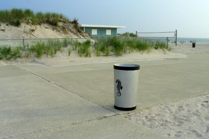 Field 4, Robert Moses State Park, Suffolk County, Long Island, New York
