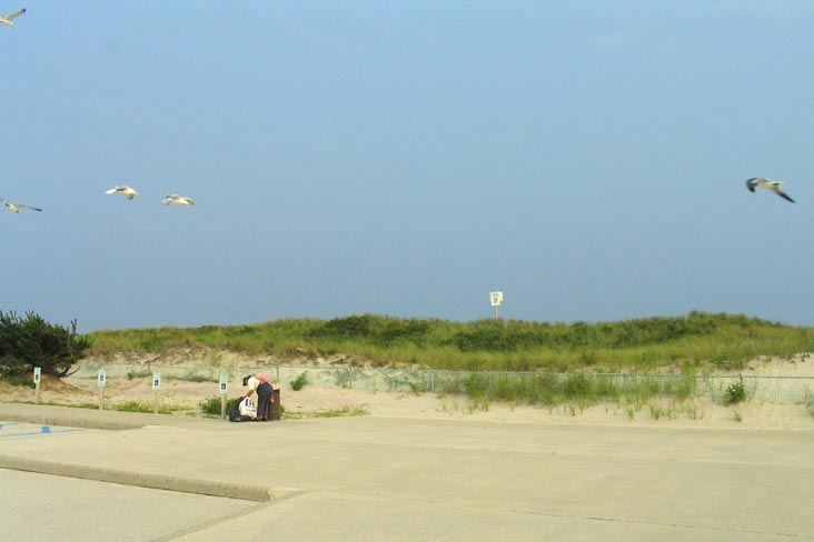 Field 4, Robert Moses State Park, Suffolk County, Long Island, New York