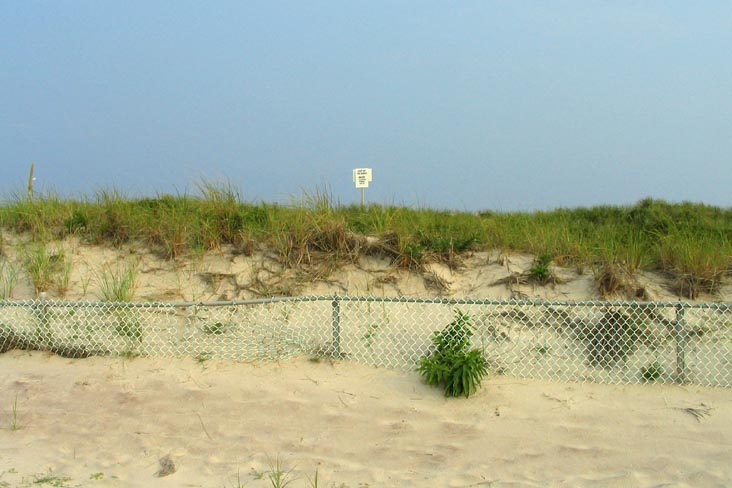 Field 4, Robert Moses State Park, Suffolk County, Long Island, New York