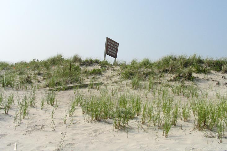 Field 5, Robert Moses State Park, Suffolk County, Long Island, New York