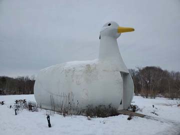 The Big Duck, New York State Route 24, Flanders, New York, February 13, 2021