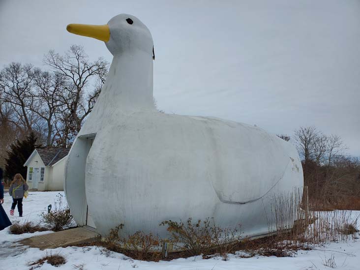 The Big Duck, New York State Route 24, Flanders, New York, February 13, 2021
