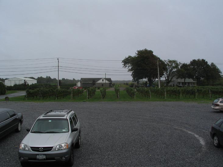 Laurel Lake Vineyards, 3165 Main Road, Route 25, Laurel, New York, October 8, 2005