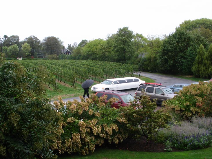Corey Creek Vineyards, Main Road, Route 25, Southold, New York, October 8, 2005