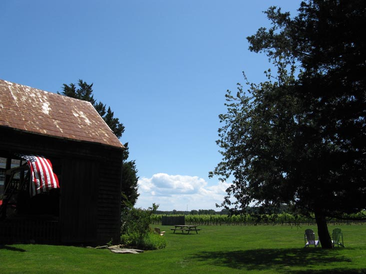 Croteaux Vineyards, 1450 South Harbor Road, Southold, New York, July 4, 2009