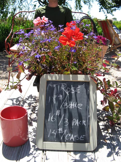 Croteaux Vineyards, 1450 South Harbor Road, Southold, New York, July 4, 2009