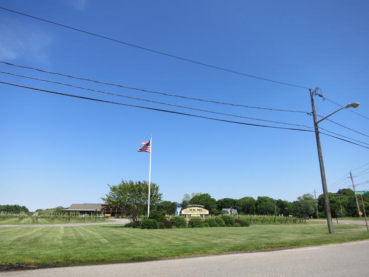 Macari Vineyards, 150 Bergen Avenue, Mattituck, New York, May 29, 2015