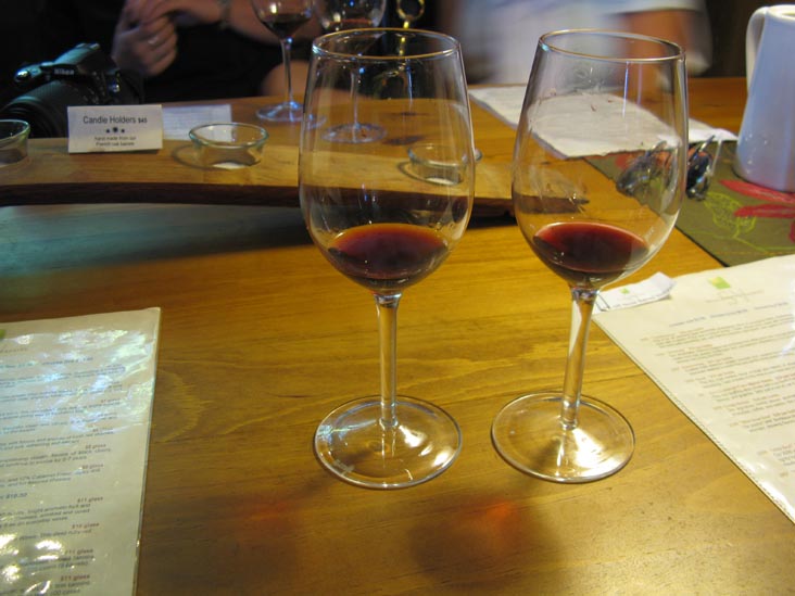 Tasting, Shinn Estate Vineyards, 2000 Oregon Road, Mattituck, New York, July 4, 2009