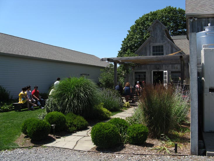 Shinn Estate Vineyards, 2000 Oregon Road, Mattituck, New York, July 4, 2009