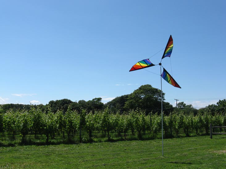 Shinn Estate Vineyards, 2000 Oregon Road, Mattituck, New York, July 4, 2009