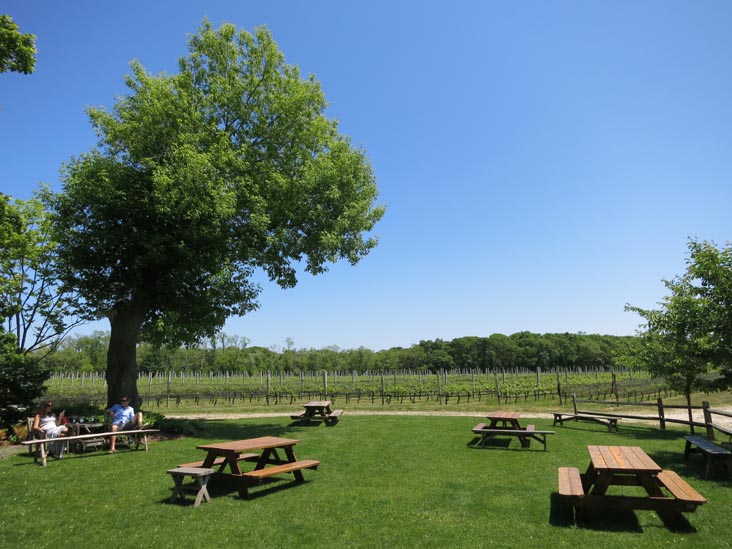 McCall Wines, 22600 Main Road, Cutchogue, New York, May 29, 2015
