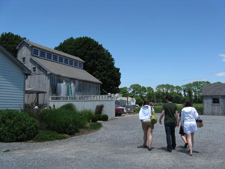 Shinn Estate Vineyards, 2000 Oregon Road, Mattituck, New York, July 4, 2009