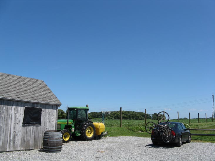 Shinn Estate Vineyards, 2000 Oregon Road, Mattituck, New York, July 4, 2009