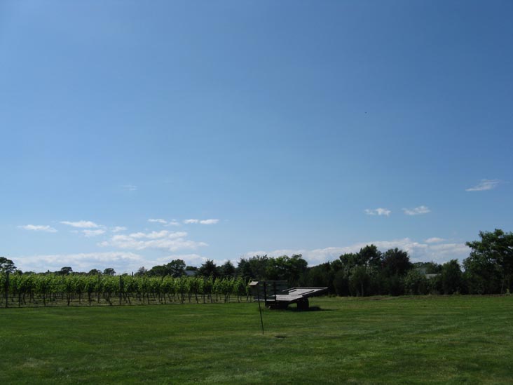 Vineyards, Croteaux Vineyards, 1450 South Harbor Road, Southold, New York, July 4, 2009
