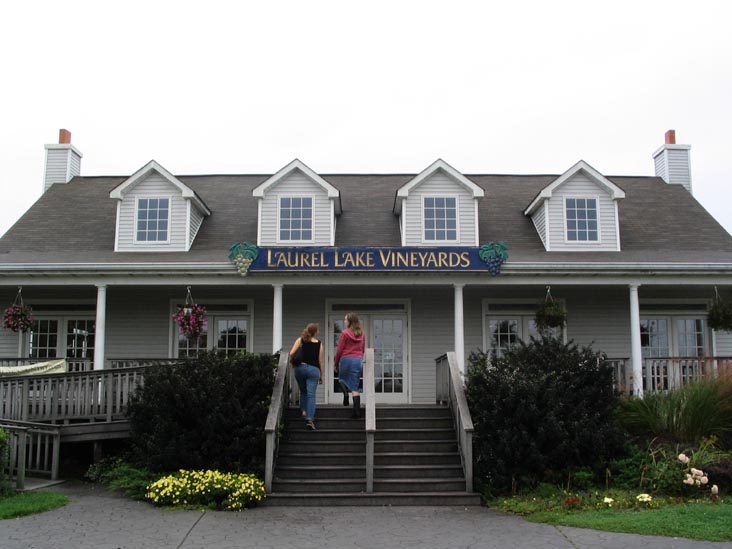 Laurel Lake Vineyards, 3165 Main Road, Route 25, Laurel, New York