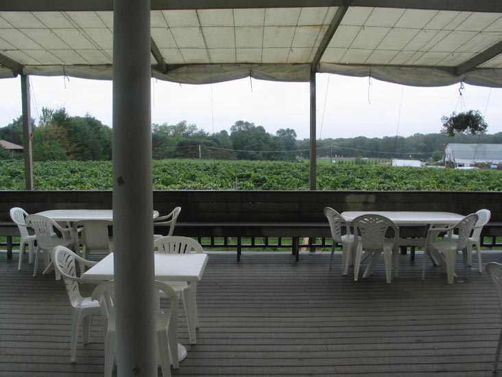 Laurel Lake Vineyards, 3165 Main Road, Route 25, Laurel, New York