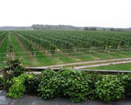 Corey Creek Vineyards, Main Road, Route 25, Southold, New York