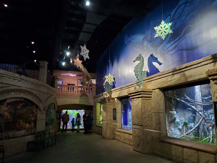 Long Island Aquarium, Riverhead, New York, February 13, 2021