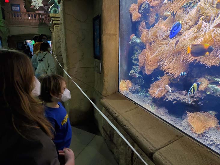 Long Island Aquarium, Riverhead, New York, February 13, 2021