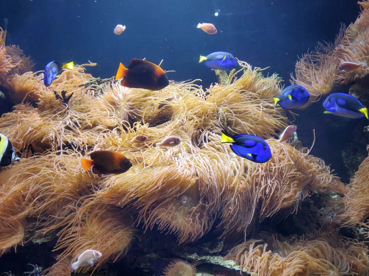 Long Island Aquarium, Riverhead, New York, February 13, 2021