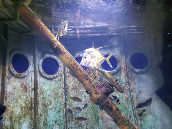 Long Island Aquarium, Riverhead, New York, February 13, 2021