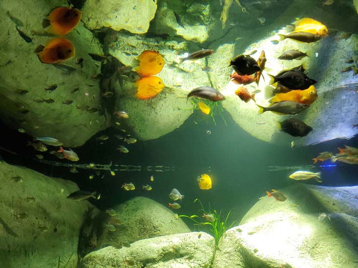 Long Island Aquarium, Riverhead, New York, February 13, 2021