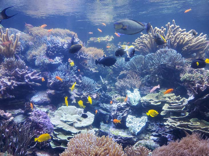 Long Island Aquarium, Riverhead, New York, February 13, 2021