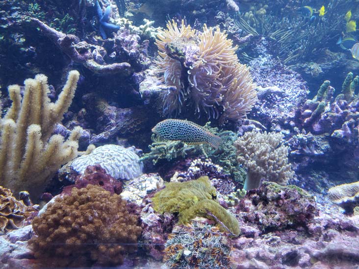 Long Island Aquarium, Riverhead, New York, February 13, 2021