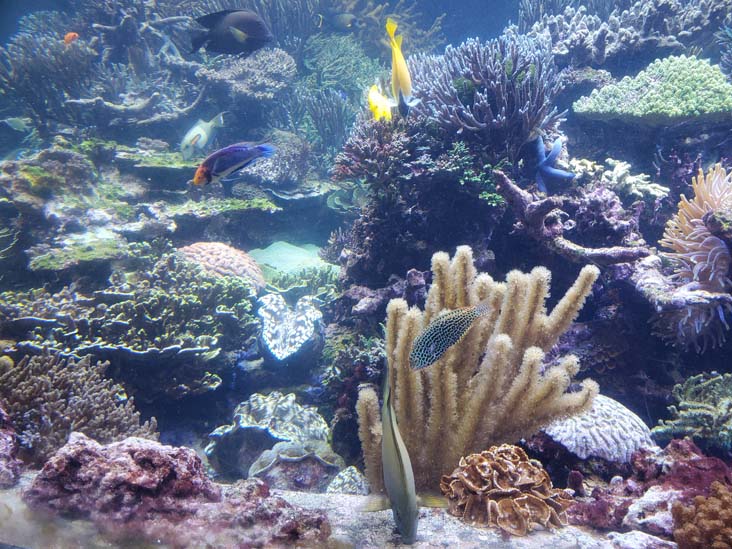 Long Island Aquarium, Riverhead, New York, February 13, 2021