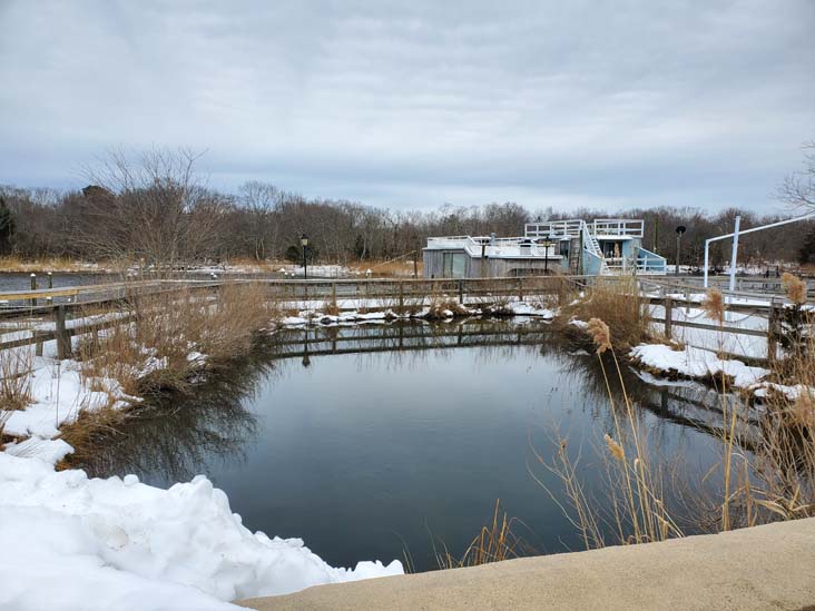 Interactive Salt Marsh, Long Island Aquarium, Riverhead, New York, February 13, 2021