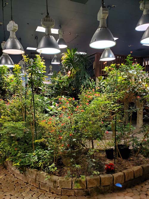 Long Island Aquarium, Riverhead, New York, February 13, 2021