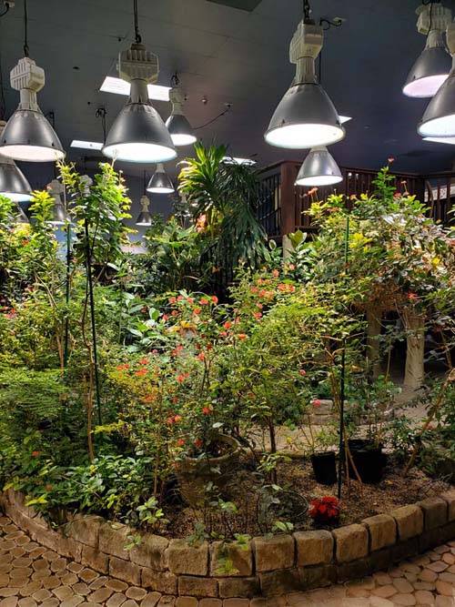 Long Island Aquarium, Riverhead, New York, February 13, 2021