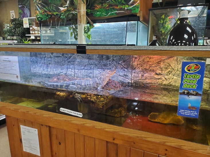 Jungle Bob's Reptile World, 984 Middle Country Road, Selden, New York, February 12, 2021