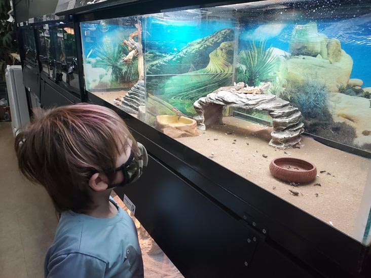 Jungle Bob's Reptile World, 984 Middle Country Road, Selden, New York, February 12, 2021