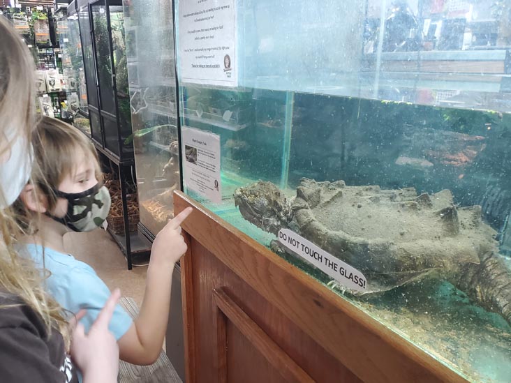 Jungle Bob's Reptile World, 984 Middle Country Road, Selden, New York, February 12, 2021