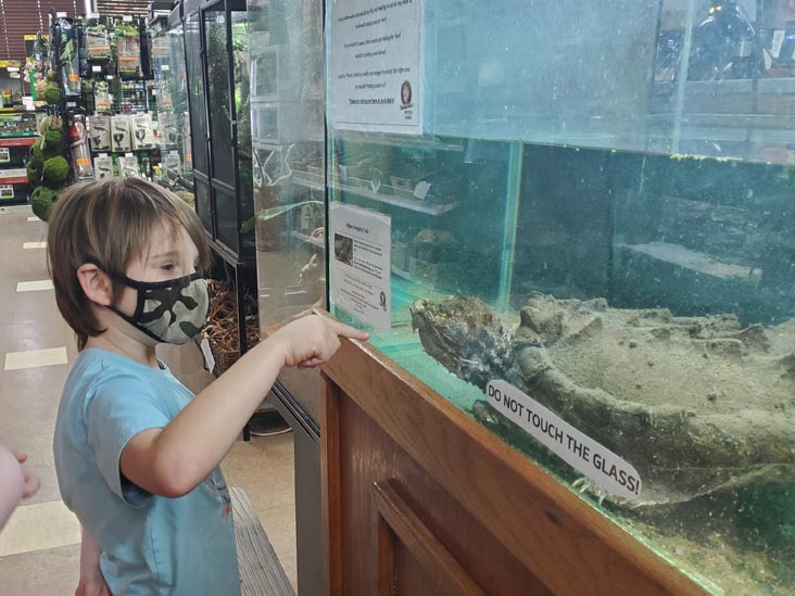 Jungle Bob's Reptile World, 984 Middle Country Road, Selden, New York, February 12, 2021