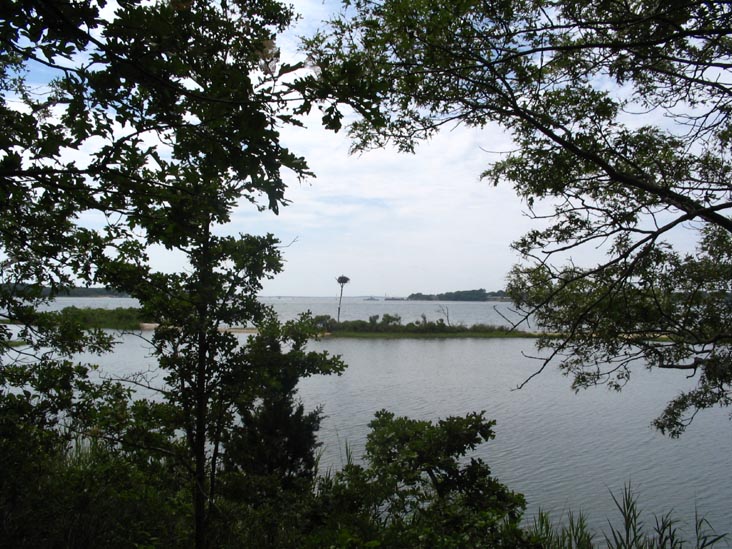 View from a Duck Blind, Mashomack Preserve, Shelter Island, New York