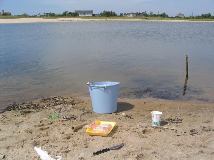 Crabbing at Mecox Beach, Long Island